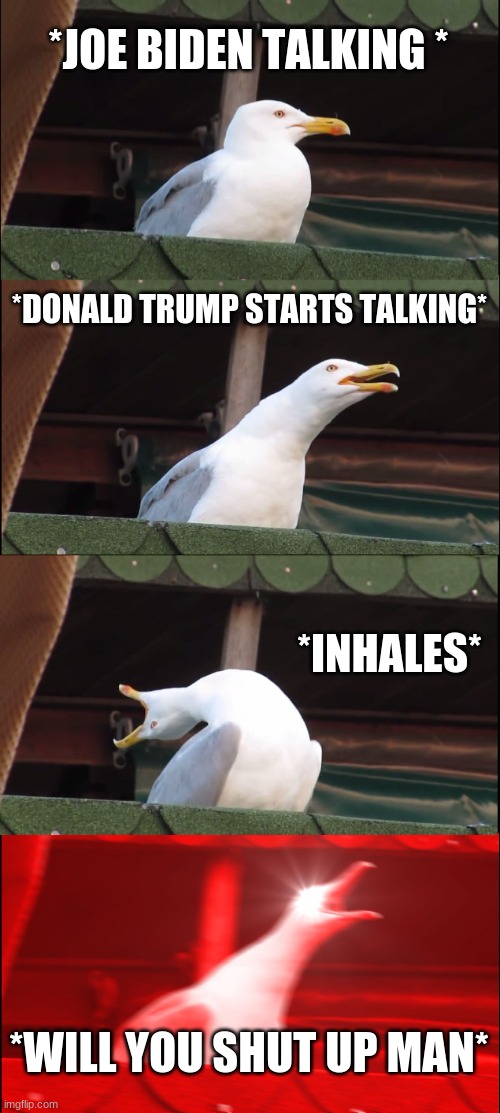 how it all went down | *JOE BIDEN TALKING *; *DONALD TRUMP STARTS TALKING*; *INHALES*; *WILL YOU SHUT UP MAN* | image tagged in memes,inhaling seagull | made w/ Imgflip meme maker