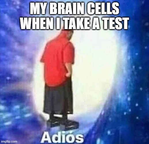 Adios | MY BRAIN CELLS WHEN I TAKE A TEST | image tagged in adios | made w/ Imgflip meme maker