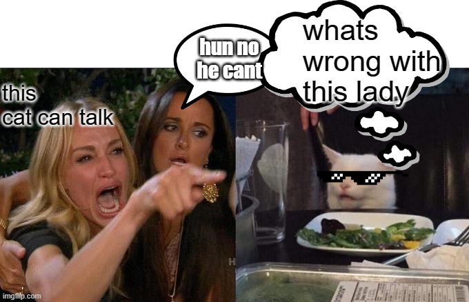 Talk, Me NOPE! | whats wrong with this lady; hun no he cant; this cat can talk | image tagged in memes,woman yelling at cat | made w/ Imgflip meme maker