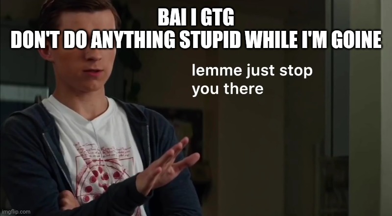 Lemme just stop you there | BAI I GTG
DON'T DO ANYTHING STUPID WHILE I'M GOINE | image tagged in lemme just stop you there | made w/ Imgflip meme maker