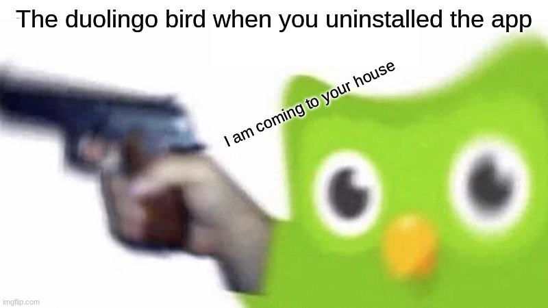 NO DUO | The duolingo bird when you uninstalled the app; I am coming to your house | image tagged in duolingo gun | made w/ Imgflip meme maker