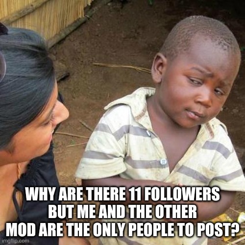 Third World Skeptical Kid | WHY ARE THERE 11 FOLLOWERS BUT ME AND THE OTHER MOD ARE THE ONLY PEOPLE TO POST? | image tagged in memes,third world skeptical kid | made w/ Imgflip meme maker