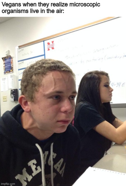 hmmmm | Vegans when they realize microscopic
organisms live in the air: | image tagged in vegans | made w/ Imgflip meme maker