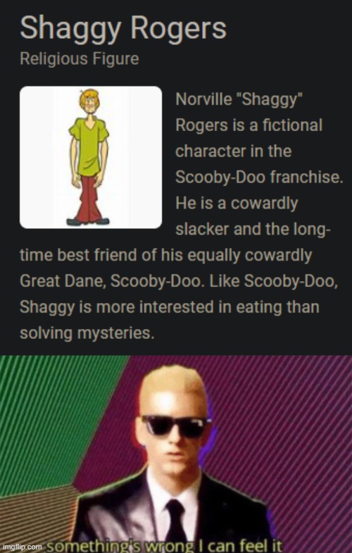 All hail Shaggy! | image tagged in something's wrong i can feel it,shaggy,barney will eat all of your delectable biscuits,all hail the delectable biscuit | made w/ Imgflip meme maker