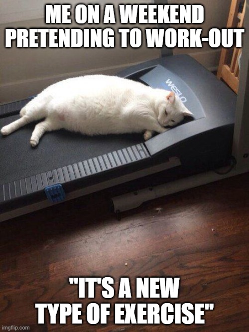 lazy cat | ME ON A WEEKEND PRETENDING TO WORK-OUT; "IT'S A NEW TYPE OF EXERCISE" | image tagged in lazy cat | made w/ Imgflip meme maker