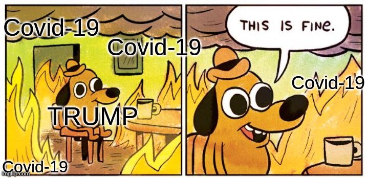THIS IS FINE (Trump) | Covid-19; Covid-19; Covid-19; TRUMP; Covid-19 | image tagged in memes,this is fine | made w/ Imgflip meme maker