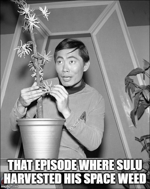 Star Trek: The High Times | THAT EPISODE WHERE SULU HARVESTED HIS SPACE WEED | image tagged in sulu,weed | made w/ Imgflip meme maker