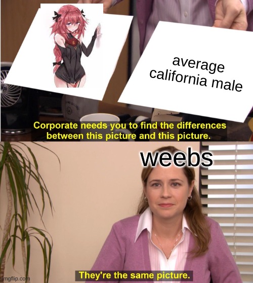 they are | average california male; weebs | image tagged in memes,they're the same picture | made w/ Imgflip meme maker