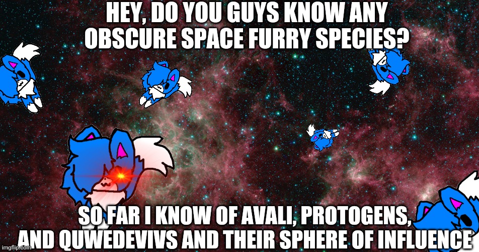 Yo should I make this image a template? | HEY, DO YOU GUYS KNOW ANY OBSCURE SPACE FURRY SPECIES? SO FAR I KNOW OF AVALI, PROTOGENS, AND QUWEDEVIVS AND THEIR SPHERE OF INFLUENCE | image tagged in cloud,has,been,cloned | made w/ Imgflip meme maker