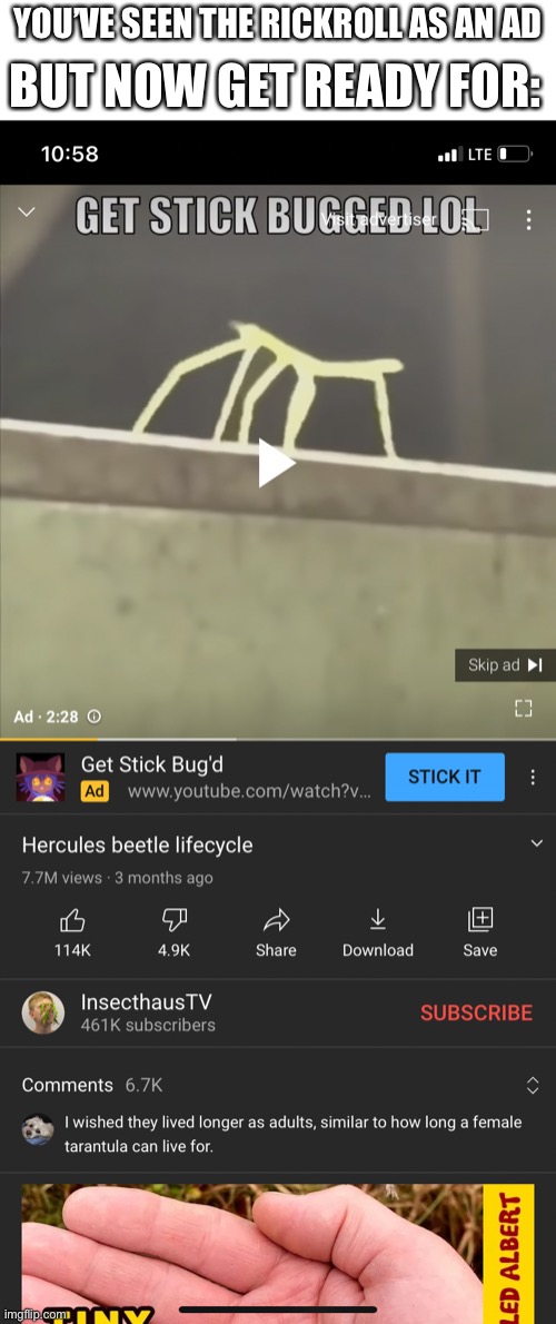 The stickbug is an ad now | YOU’VE SEEN THE RICKROLL AS AN AD; BUT NOW GET READY FOR: | image tagged in stickbug | made w/ Imgflip meme maker