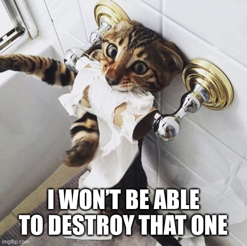 CAT TOILET PAPER | I WON’T BE ABLE TO DESTROY THAT ONE | image tagged in cat toilet paper | made w/ Imgflip meme maker