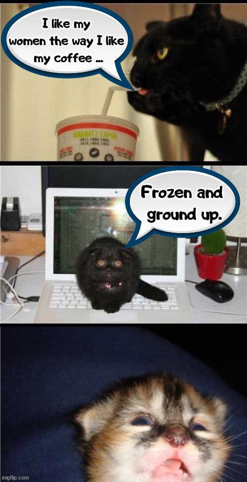 I like my 
women the way I like 
my coffee ... Frozen and 
ground up. | image tagged in dark humor | made w/ Imgflip meme maker