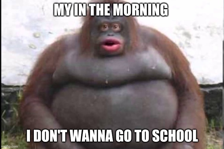 stinky | MY IN THE MORNING; I DON'T WANNA GO TO SCHOOL | image tagged in stinky | made w/ Imgflip meme maker