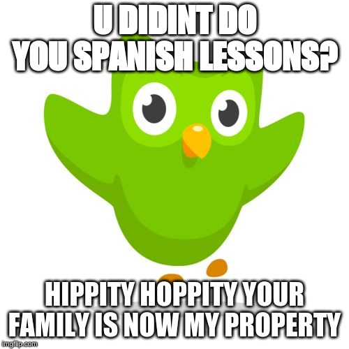 you didn't do YOUR SPANISH LESSONS Blank Meme Template