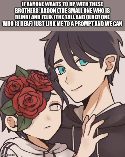 IF ANYONE WANTS TO RP WITH THESE BROTHERS, ARDON (THE SMALL ONE WHO IS BLIND) AND FELIX (THE TALL AND OLDER ONE WHO IS DEAF) JUST LINK ME TO A PROMPT AND WE CAN | made w/ Imgflip meme maker
