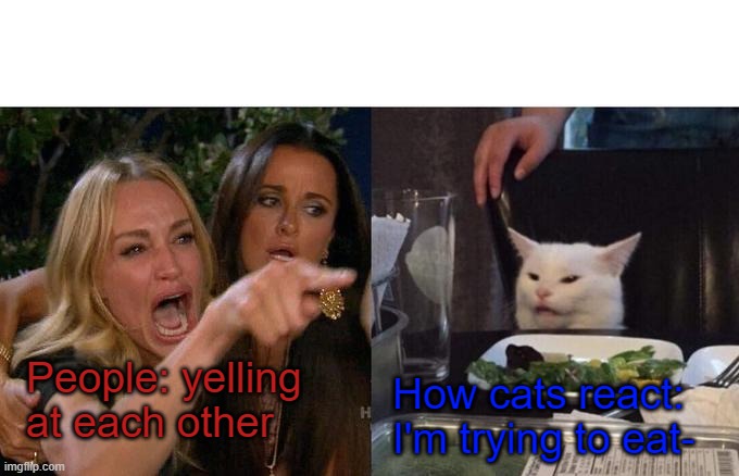 Woman Yelling At Cat Meme | People: yelling at each other; How cats react: I'm trying to eat- | image tagged in memes,woman yelling at cat | made w/ Imgflip meme maker