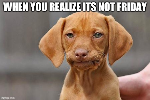 friday | WHEN YOU REALIZE ITS NOT FRIDAY | image tagged in dissapointed puppy | made w/ Imgflip meme maker