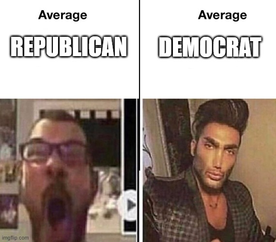 Everything's racist to them | DEMOCRAT; REPUBLICAN | image tagged in average fan vs average enjoyer,libtards,stupid liberals | made w/ Imgflip meme maker