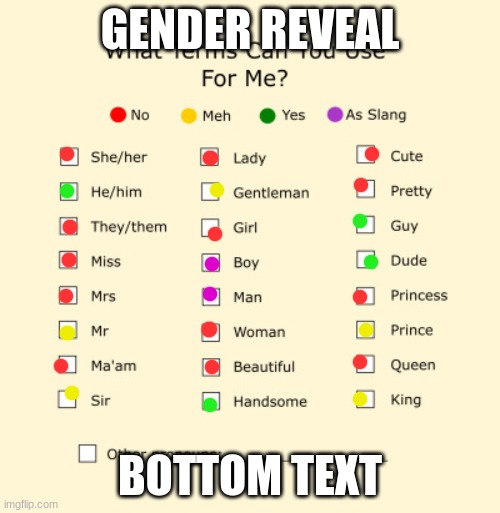 gender reveal pog | GENDER REVEAL; BOTTOM TEXT | image tagged in pronouns sheet | made w/ Imgflip meme maker
