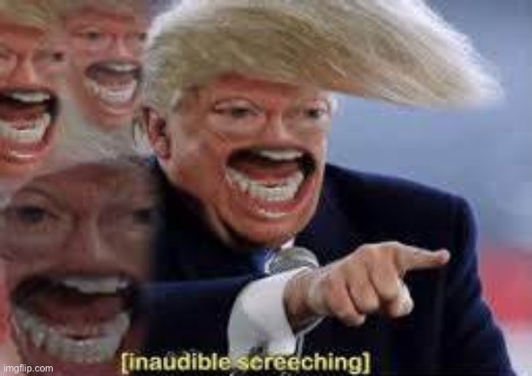 Funny Donald Trump Inaudible Screeching | image tagged in funny donald trump inaudible screeching | made w/ Imgflip meme maker