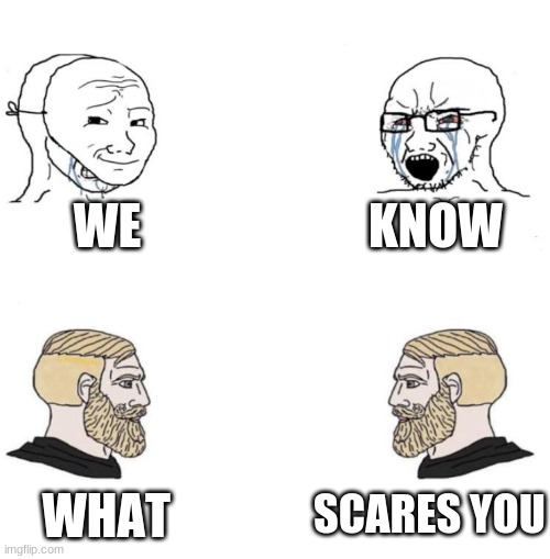 aw ye |  WE; KNOW; SCARES YOU; WHAT | image tagged in chad we know | made w/ Imgflip meme maker
