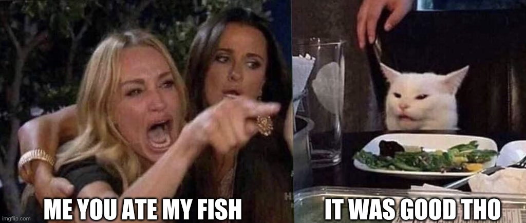 woman yelling at cat | ME YOU ATE MY FISH; IT WAS GOOD THO | image tagged in woman yelling at cat | made w/ Imgflip meme maker
