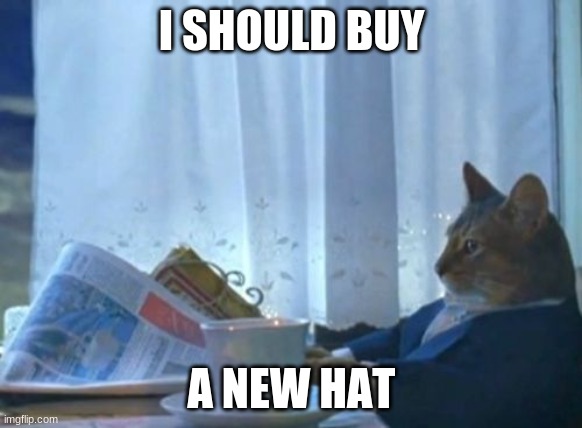 NEW HAT! | I SHOULD BUY; A NEW HAT | image tagged in memes,i should buy a boat cat | made w/ Imgflip meme maker
