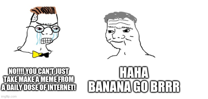 nooo haha go brrr | NO!!!! YOU CAN'T JUST TAKE MAKE A MEME FROM A DAILY DOSE OF INTERNET! HAHA BANANA GO BRRR | image tagged in nooo haha go brrr | made w/ Imgflip meme maker