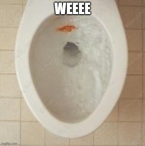 goldfish toilet burial | WEEEE | image tagged in goldfish toilet burial | made w/ Imgflip meme maker