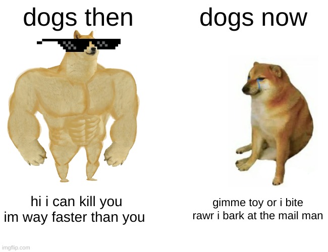 Buff Doge vs. Cheems | dogs then; dogs now; hi i can kill you im way faster than you; gimme toy or i bite rawr i bark at the mail man | image tagged in memes,buff doge vs cheems | made w/ Imgflip meme maker