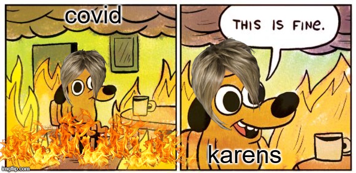 This Is Fine | covid; karens | image tagged in memes,this is fine | made w/ Imgflip meme maker