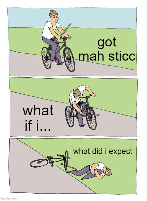 Bike Fall Meme | got mah sticc; what if i... what did i expect | image tagged in memes,bike fall | made w/ Imgflip meme maker