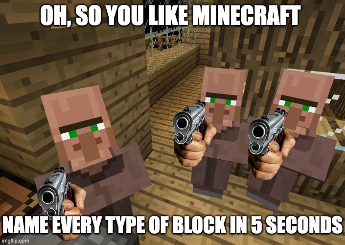 Minecraft Villagers | OH, SO YOU LIKE MINECRAFT; NAME EVERY TYPE OF BLOCK IN 5 SECONDS | image tagged in minecraft villagers | made w/ Imgflip meme maker