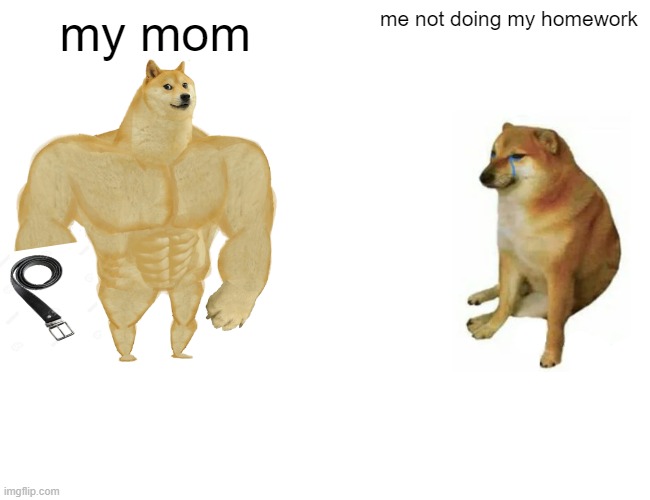 BELT | my mom; me not doing my homework | image tagged in memes,buff doge vs cheems | made w/ Imgflip meme maker