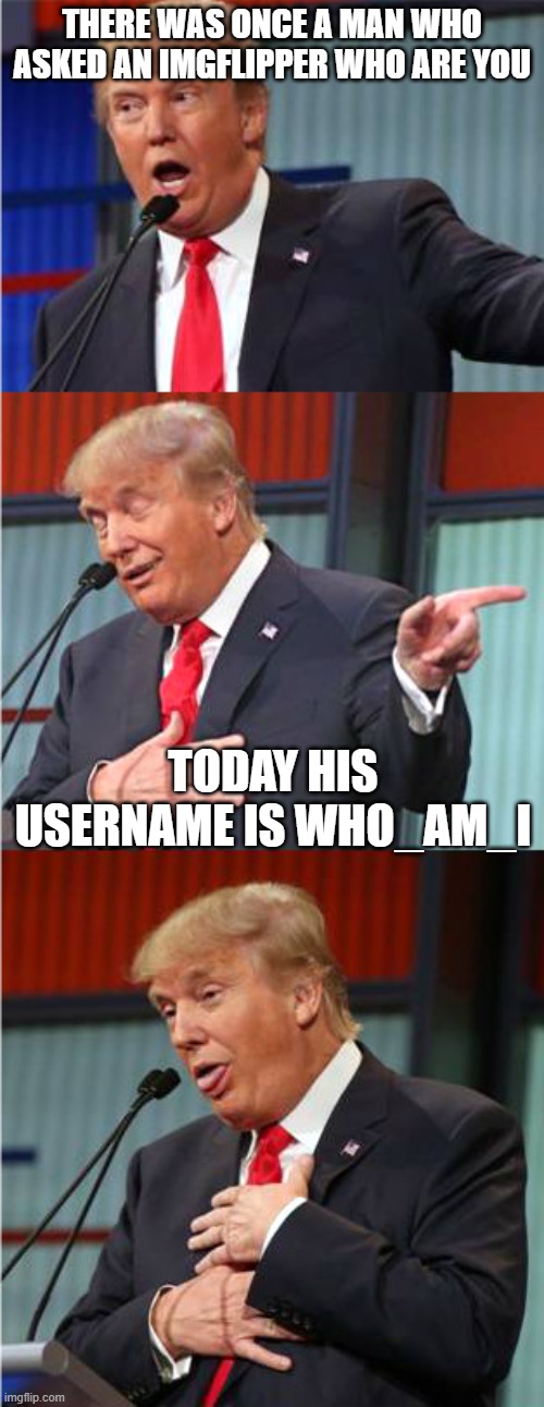 Fellow memer joke | THERE WAS ONCE A MAN WHO ASKED AN IMGFLIPPER WHO ARE YOU; TODAY HIS USERNAME IS WHO_AM_I | image tagged in bad pun trump | made w/ Imgflip meme maker