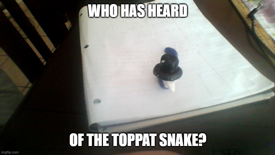 snake | WHO HAS HEARD; OF THE TOPPAT SNAKE? | image tagged in henry stickmin,snake | made w/ Imgflip meme maker