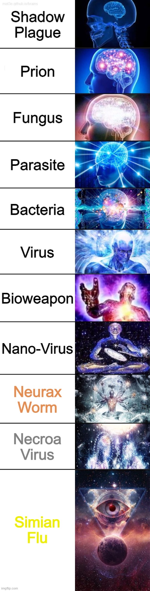 Extended Expanding Brain | Shadow Plague; Prion; Fungus; Parasite; Bacteria; Virus; Bioweapon; Nano-Virus; Neurax Worm; Necroa Virus; Simian Flu | image tagged in extended expanding brain | made w/ Imgflip meme maker