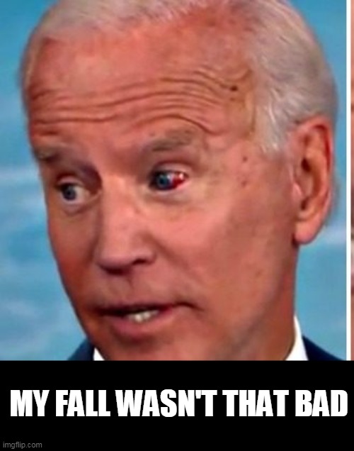 Kamala is like "well damn" | MY FALL WASN'T THAT BAD | image tagged in fall,joe biden | made w/ Imgflip meme maker