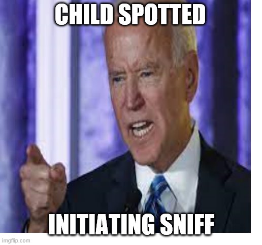 Feel Free To Use This Anywhere :) | CHILD SPOTTED; INITIATING SNIFF | image tagged in joe biden,sniff | made w/ Imgflip meme maker