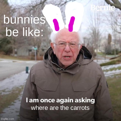 WHERE ARE THEY??!!!!!! | bunnies be like:; where are the carrots | image tagged in memes,bernie i am once again asking for your support | made w/ Imgflip meme maker