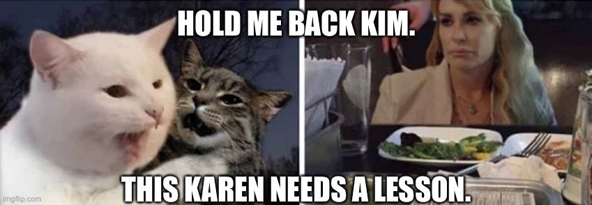 cat yelling at woman | HOLD ME BACK KIM. THIS KAREN NEEDS A LESSON. | image tagged in cat yelling at woman | made w/ Imgflip meme maker