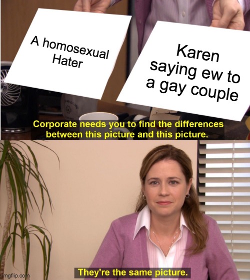 They're The Same Picture Meme | A homosexual Hater; Karen saying ew to a gay couple | image tagged in memes,they're the same picture | made w/ Imgflip meme maker