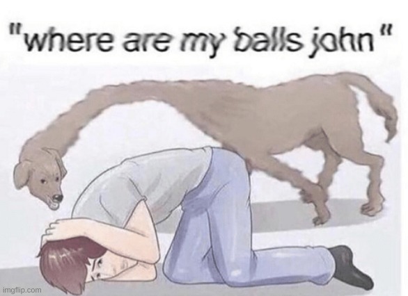 Sh!tPost | image tagged in where are my balls john | made w/ Imgflip meme maker