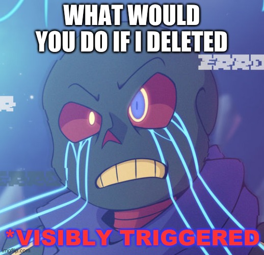 probably not much | WHAT WOULD YOU DO IF I DELETED | image tagged in error sans visibly triggered | made w/ Imgflip meme maker