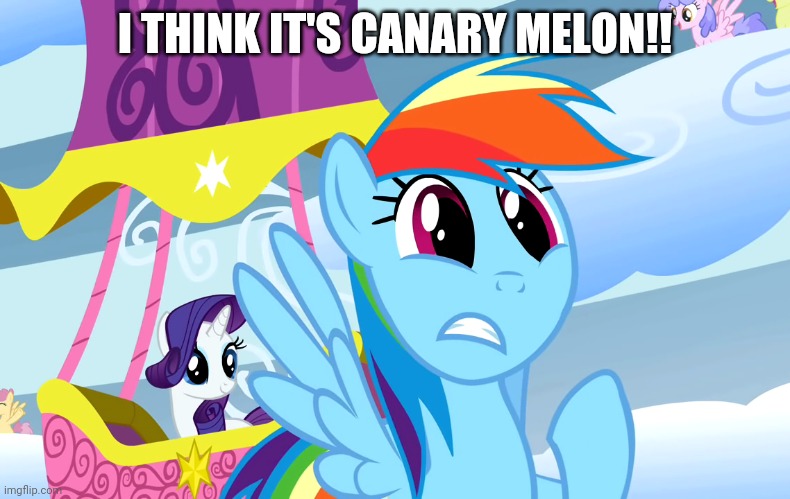 I THINK IT'S CANARY MELON!! | made w/ Imgflip meme maker