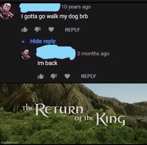 it took 119 months | image tagged in return of the king,youtube comments | made w/ Imgflip meme maker