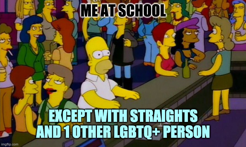 Homer Simpsons in bar | ME AT SCHOOL; EXCEPT WITH STRAIGHTS AND 1 OTHER LGBTQ+ PERSON | image tagged in homer simpsons in bar | made w/ Imgflip meme maker