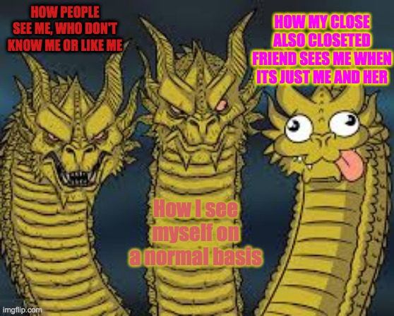 Three Dragon Heads | HOW PEOPLE SEE ME, WHO DON'T KNOW ME OR LIKE ME; HOW MY CLOSE ALSO CLOSETED FRIEND SEES ME WHEN ITS JUST ME AND HER; How I see myself on a normal basis | image tagged in three dragon heads | made w/ Imgflip meme maker