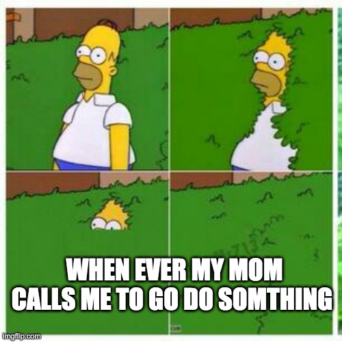 Homer hides | WHEN EVER MY MOM CALLS ME TO GO DO SOMTHING | image tagged in homer hides | made w/ Imgflip meme maker