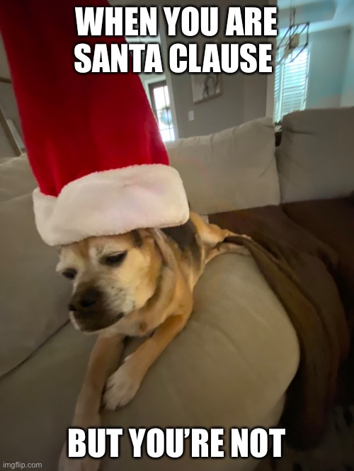 Santa clause | WHEN YOU ARE SANTA CLAUSE; BUT YOU’RE NOT | image tagged in imgflip | made w/ Imgflip meme maker